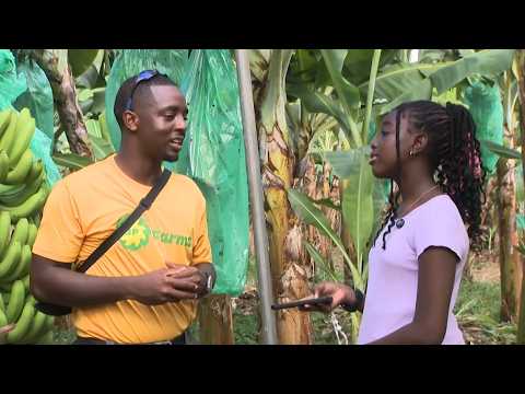 From Farm to Table! | Exploring Jamaica’s Fruits at JP Farms | TVJ/Children’s Own Watch N Win