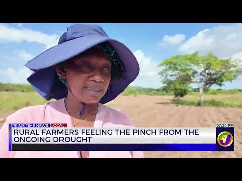 High Price Of Airline Tickets To Put The Squeeze On Tourism? | TVJ News