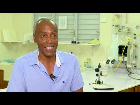 Why Jamaica’s Blue Mountain Coffee Is Becoming Harder to Grow | Brewed by the Heat | TVJ News