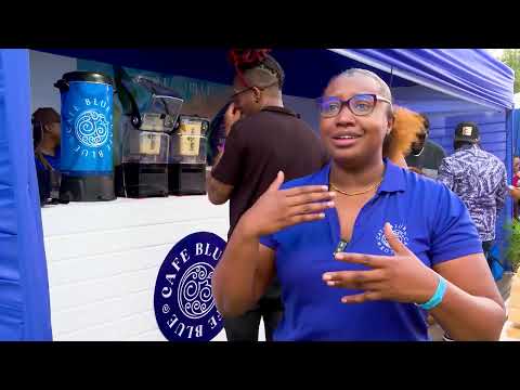 Can Jamaica Save Its Blue Mountain Coffee Industry? | Brewed by the Heat | TVJ News