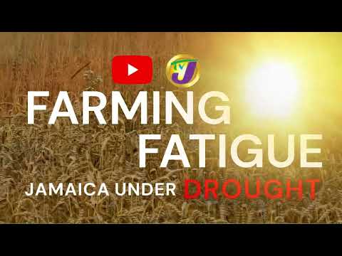 Farming Fatigue: Jamaica Under Drought coming Sept 29, 2026 | TVJ